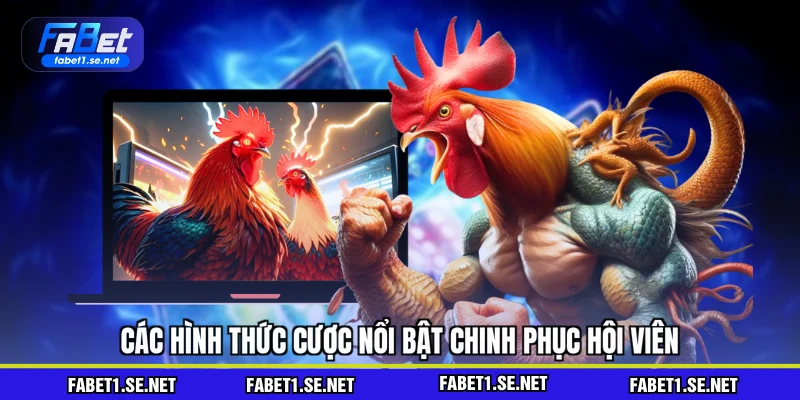 Các hình thức cược nổi bật chinh phục hội viên