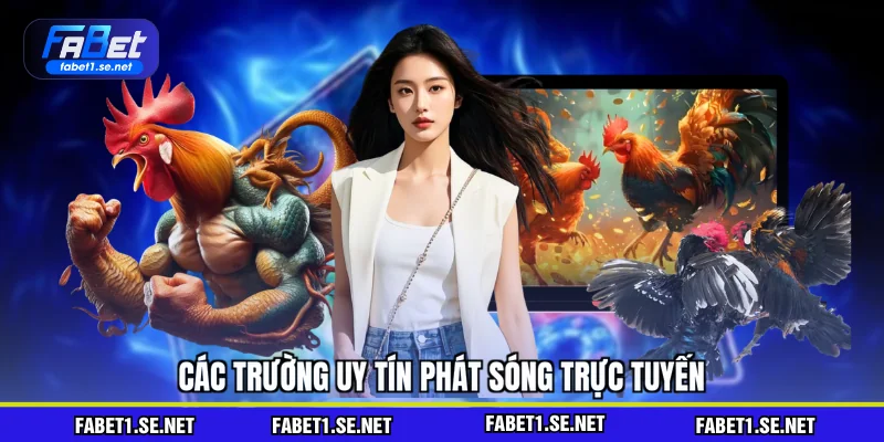 Các trường uy tín phát sóng trực tuyến