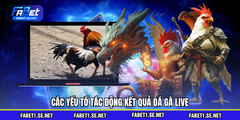 Các yếu tố tác động kết quả đá gà live