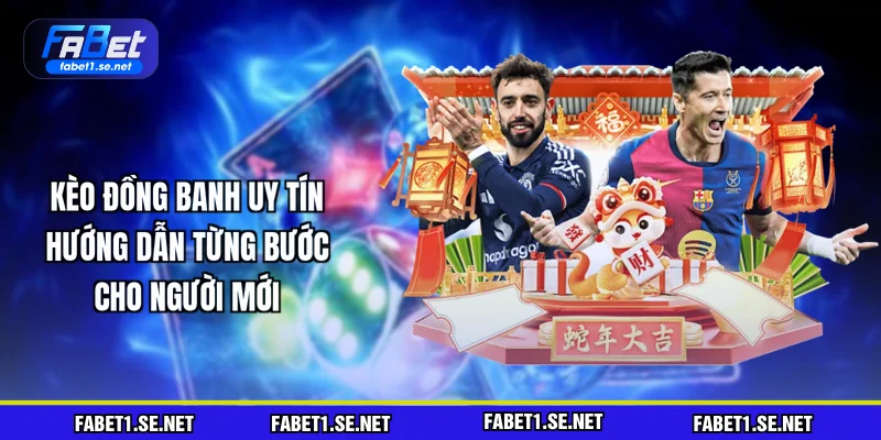 keo-dong-banh-uy-tin-huong-dan-tung-buoc-cho-nguoi-moi