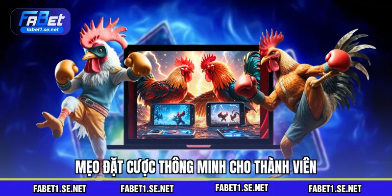 Mẹo đặt cược thông minh cho thành viên