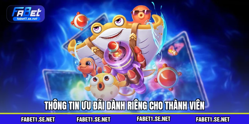 Thông tin ưu đãi dành riêng cho thành viên