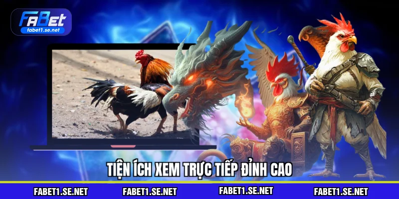 Tiện ích xem trực tiếp đỉnh cao